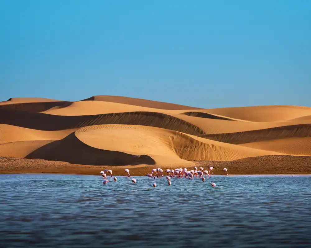 Walvis Bay 4 - Thumb